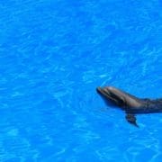 Actividades Turísticas Canarias