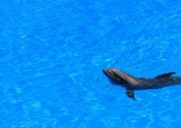 Actividades Turísticas Canarias