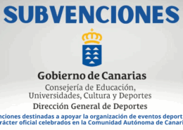 subvenciones digitalización 2025