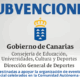 subvenciones digitalización 2025